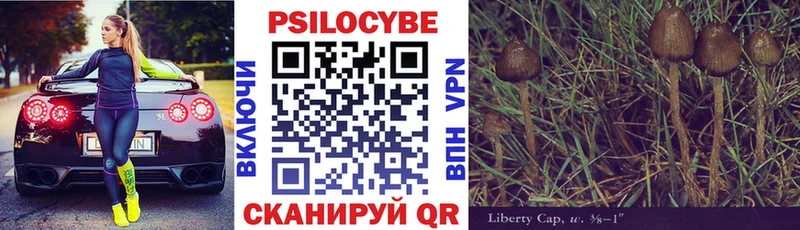 Псилоцибиновые грибы прущие грибы  Горно-Алтайск 