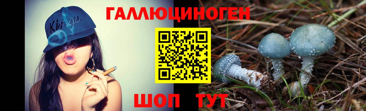 Галлюциногенные грибы Cubensis  Вход с VPN  Горно-Алтайск 